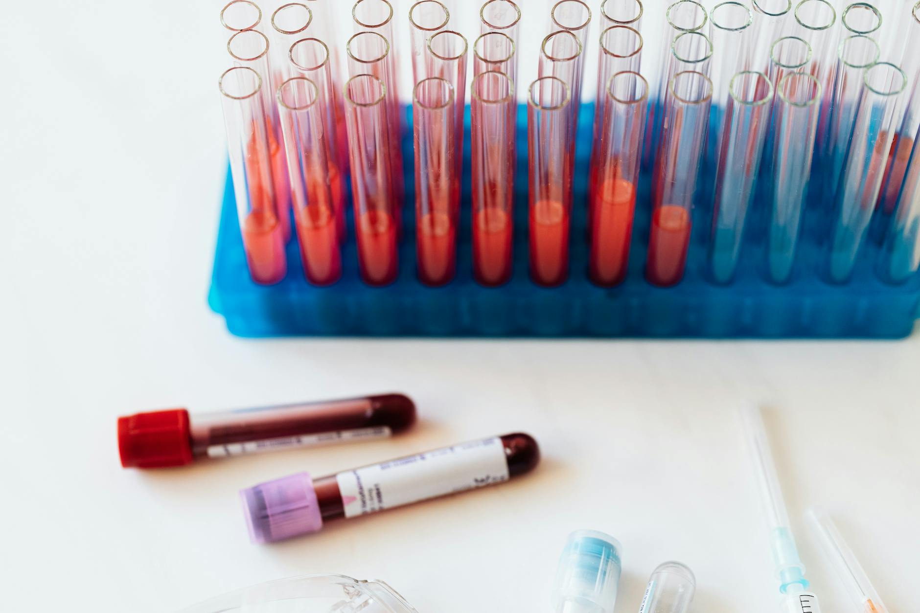 Cracking Your Cholesterol Report: What the Numbers Really Mean